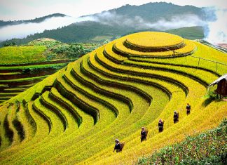 Bí kíp tung hoành Sapa dành cho dân phượt đi lần đầu