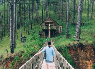 Du lịch Tết Nguyên đã 2021 hãy chọn Đà Lạt nơi được mệnh danh Châu Âu thu nhỏ tour da lat