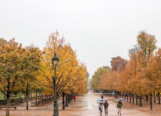 Tổng hợp những kinh nghiệm du lịch Pháp mùa thu từ A – Z Tổng hợp những kinh nghiệm du lịch Pháp mùa thu từ A - Z