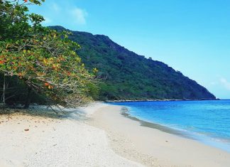 Bỏ túi kinh nghiệm du lịch Côn Đảo chi tiết dành cho người mới đi lần đầu Bỏ túi kinh nghiệm du lịch Côn Đảo chi tiết dành cho người mới đi lần đầu