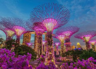 Bí kíp du lịch Singapore mới nhất 2023 cho những mới đến lần đầu Bí kíp du lịch Singapore mới nhất 2023 cho những mới đến lần đầu