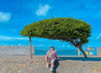 Chi phí tour du lịch đảo Phú Quý túc túc hợp lý nhất Chi phí tour du lịch đảo Phú Quý túc túc hợp lý nhất