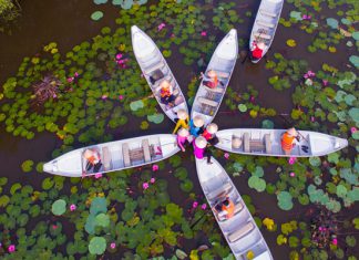 Cẩm nang du lịch Làng Nổi Tân Lập – Long An chi tiết nhất Cẩm nang du lịch Làng Nổi Tân Lập - Long An chi tiết nhất