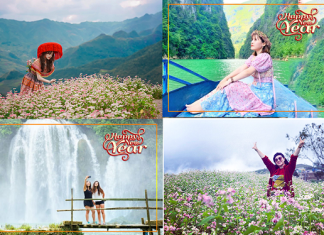 Mua tour Miền Bắc du lịch tết Giáp Thìn