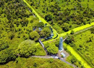 Rừng quốc gia U Minh Hạ – Vẻ đẹp thiên nhiên trù phú Vẻ đẹp thiên nhiên trù phú của rừng quốc gia U Minh Hạ