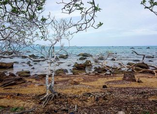 Kinh nghiệm du lịch Hòn Một – thiên đường cho khách du lịch Phú Quốc Kinh nghiệm du lịch Hòn Một - thiên đường cho khách du lịch Phú Quốc