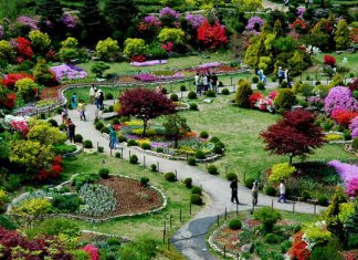 Khám phá vườn hoa Morning Calm – Khu vườn đẹp nhất khi du lịch Hàn Quốc Khám phá vườn hoa Morning Calm - Khu vườn đẹp nhất khi du lịch Hàn Quốc